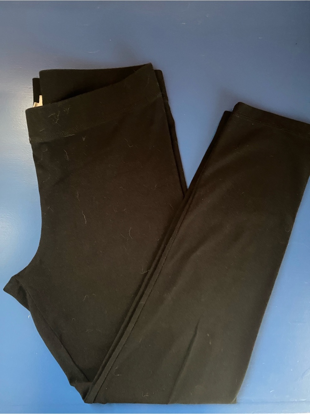 J CREW Cotton Leggings Travel Black Stretch Knit Pants MED new
